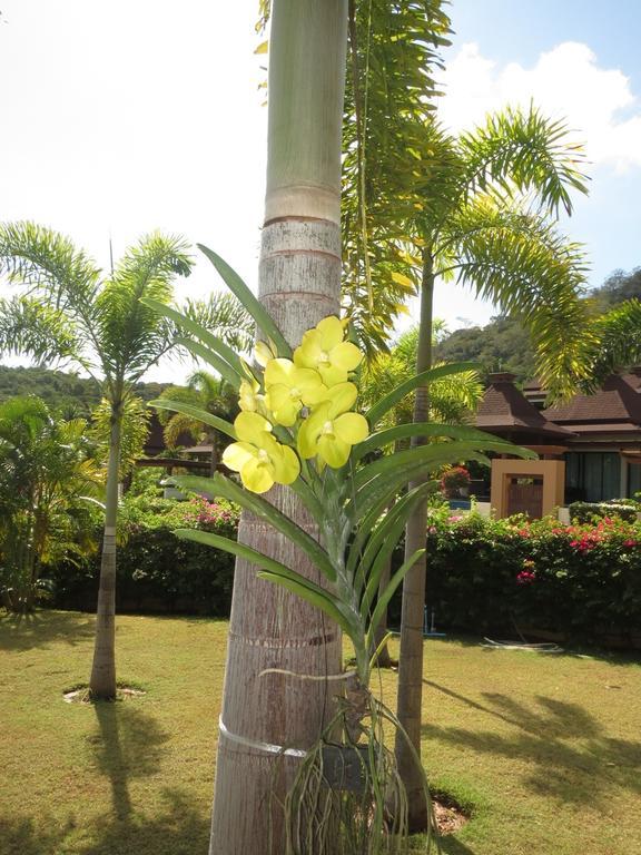 Panorama Pool Villa Khao Tao Exterior photo